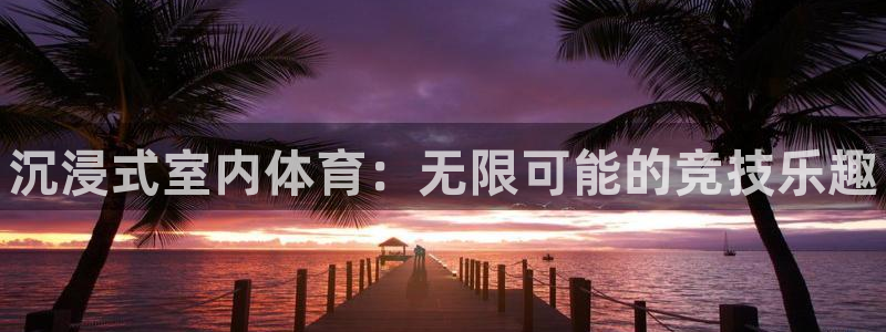 米兰体育官网下载是干嘛的公司：沉浸式室内体育：无限可