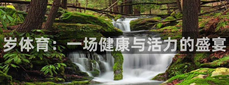 米兰体育官网下载平台是正规平台吗安全吗：岁体育：一场