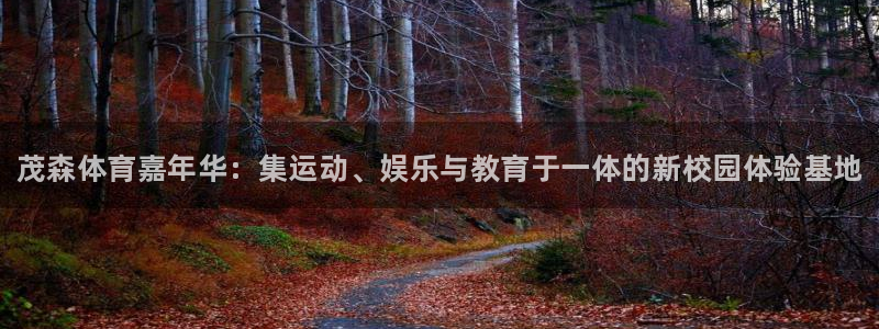米兰体育官网下载联系电话：茂森体育嘉年华：集运动、娱