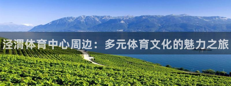 米兰体育官方正版app官方：泾渭体育中心周边：多元体