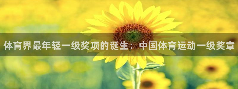 米兰体育官方正版app代理：体育界最年轻一级奖项的诞
