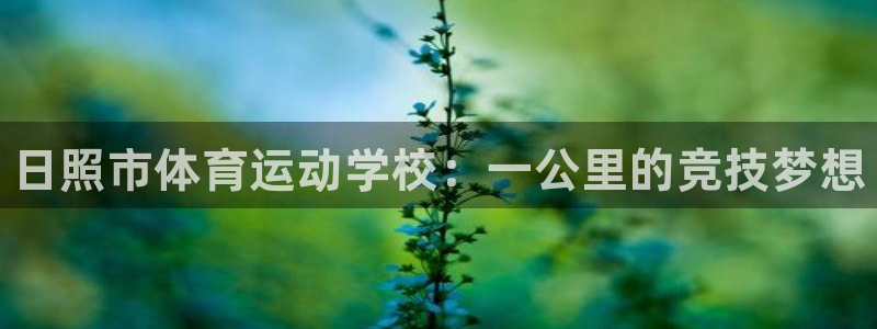 米兰体育官网下载平台假的吗是真的吗吗：日照市体育运动