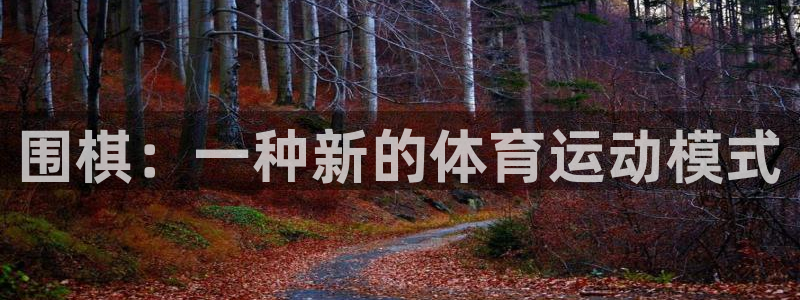 米兰体育官网下载平台注册要钱吗是真的吗：围棋：一种新