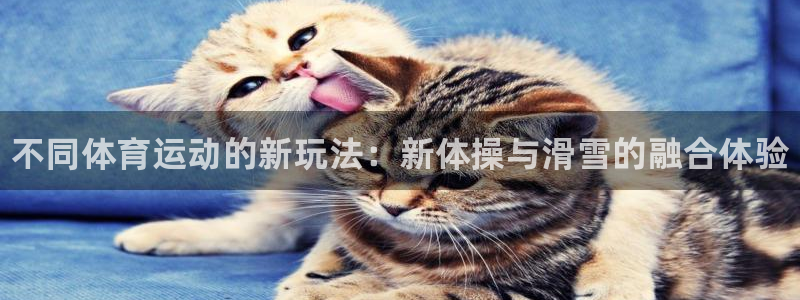 米兰体育官网下载开户：不同体育运动的新玩法：新体操与