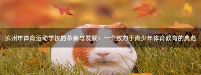 米兰体育官网下载平台注册流程图：滨州市体育运动学校的