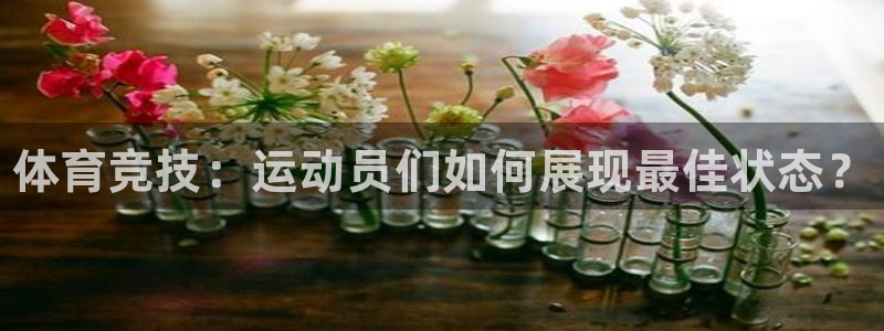 米兰体育官网下载招商电话地址查询：体育竞技：运动员们