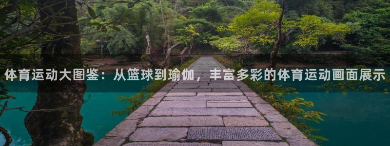 米兰体育官网下载平台注册要钱吗是真的吗：体育运动大图