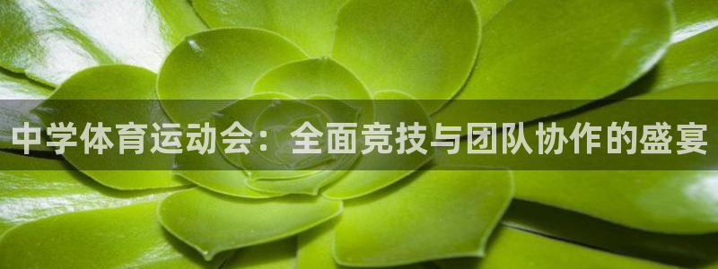 米兰体育官网下载招商电话地址是多少：中学体育运动会：全面竞技