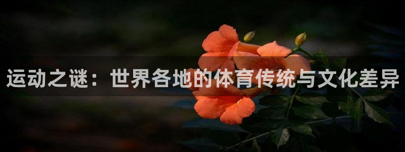 米兰体育官方正版app集团logo：运动之谜：世界各地的体育