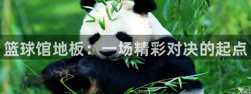 米兰体育官网下载平台假的吗是真的吗：篮球馆地板：一场精彩对决