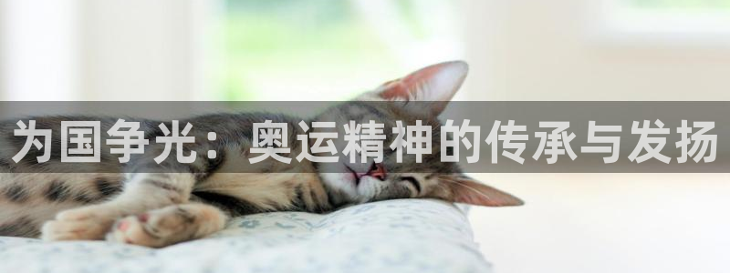 米兰体育官网下载平台是正规平台吗