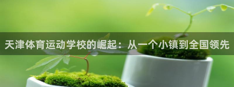 米兰体育官网下载招商电话是多少：天津体育运动学校的崛起：从一