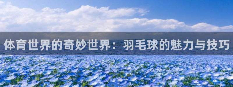 米兰体育官方正版app娱乐平台