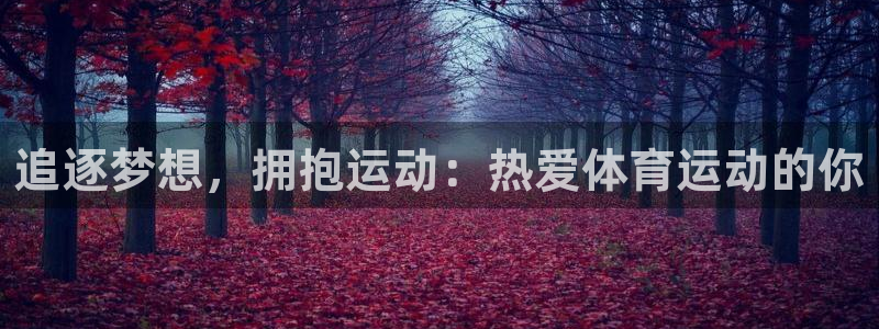 海南米兰体育官网下载：追逐梦想，拥抱运动：热爱体育运