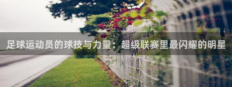  米兰体育最新登录方式：足球运动员的球技与力量：超级联赛里最闪