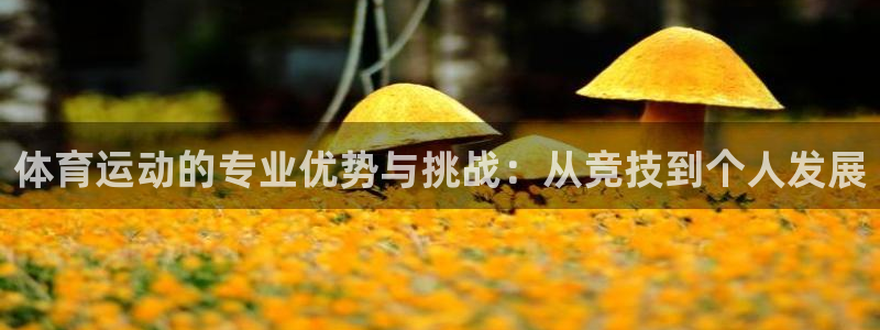 米兰体育场叫什么名字：体育运动的专业