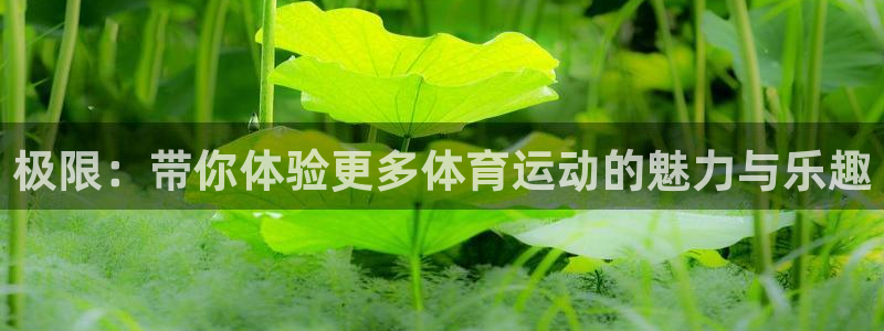 米兰体育人口多少：极限：带你体验更多体育运动的魅力与乐趣