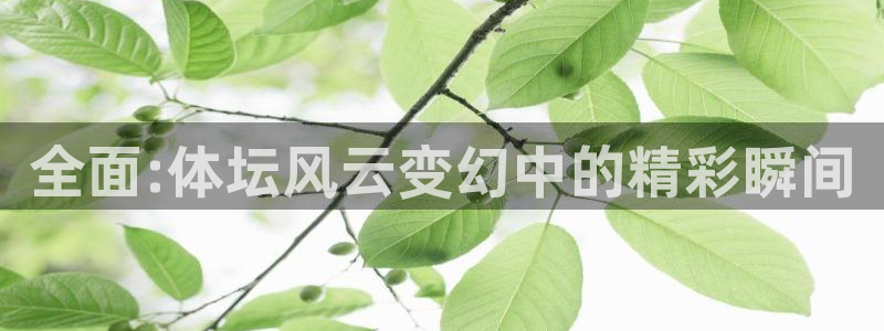 米兰体育报老板：全面:体坛风云变幻中的精彩瞬间