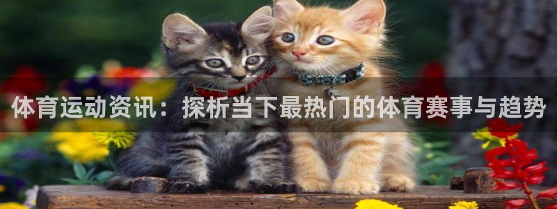 米兰体育官网拉斯帕尔马斯战略伙伴W：体育运动资讯：探析当下最