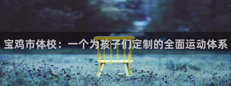 米兰体育官网：宝鸡市体校：一个为孩子们定制的全面运动体系