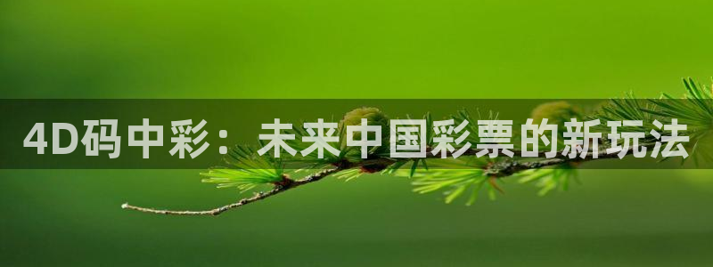 河豚体育直播：4D码中彩：未来中国彩票的新玩法
