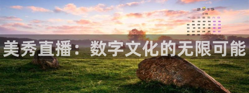 河豚足球直播：美秀直播：数字文化的无限可能