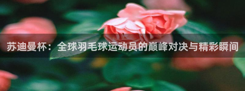 河豚体育在线直播nba：苏迪曼杯：全球羽毛球运动员的巅峰对决与精彩瞬间