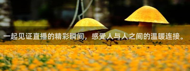 河豚体育app下载：一起见证直播的精彩瞬间，感受人与人之间的温暖连接。