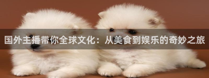 河豚篮球赛事直播：国外主播带你全球文化：从美食到娱乐的奇妙之旅
