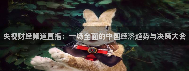 河豚看球：央视财经频道直播：一场全面的中国经济趋势与决策大会