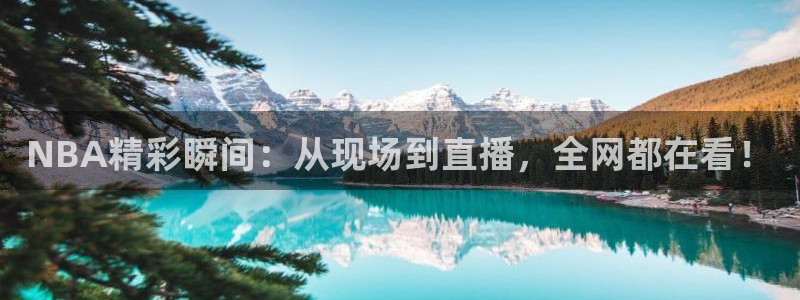 nba直播河豚：NBA精彩瞬间：从现场到直播，全网都在看！