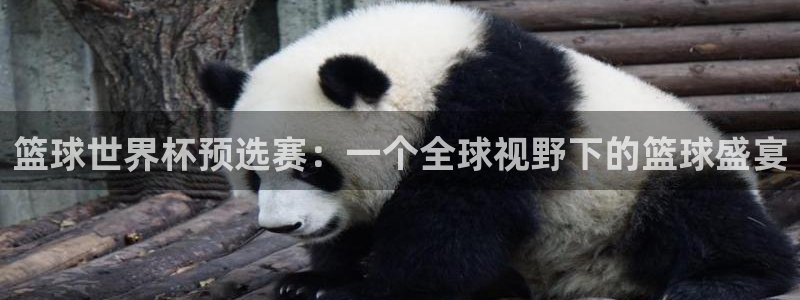 河豚体育在线观看直播：篮球世界杯预选赛：一个全球视野下的篮球盛宴