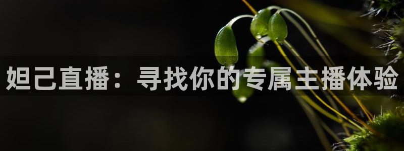 河豚体育直播官网：妲己直播：寻找你的专属主播体验