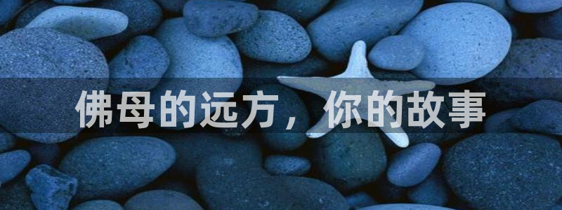 河豚免费nba在线直播：佛母的远方，你的故事