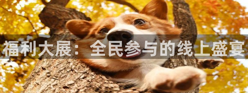 河豚的直播网：福利大展：全民参与的线上盛宴